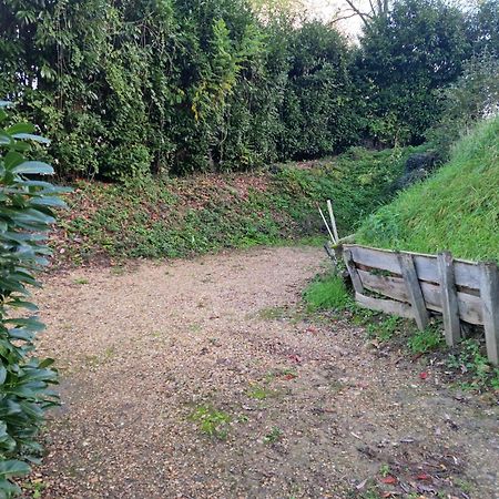 Gite Des Petites Ruelles : Familial Et Chaleureux Troo Экстерьер фото